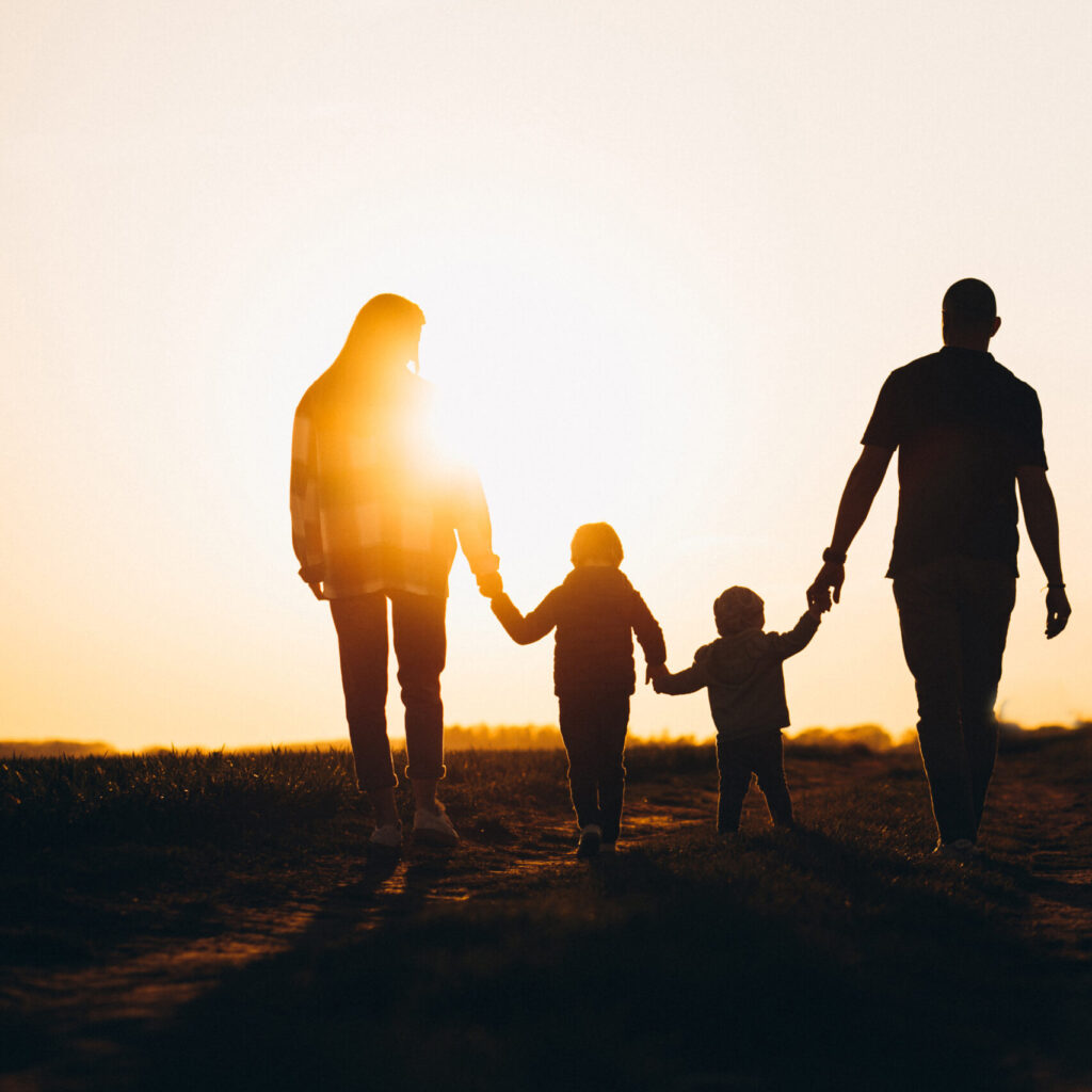 mediation en systeem- en gezinstherapie